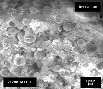 Электронно-микроскопические фотографии эттрингита: с добавкой СП