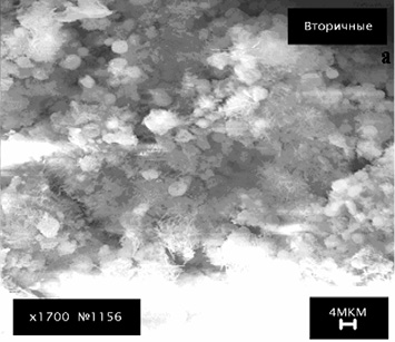 Электронно-микроскопические фотографии эттрингита: с добавкой СП