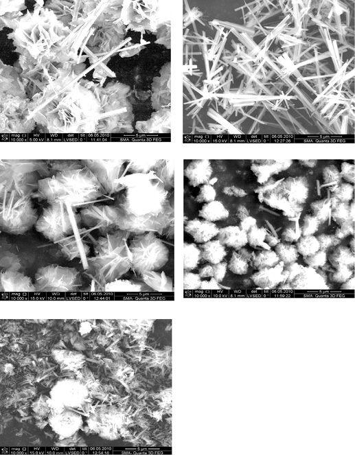 Электронно-микроскопические фотографии продуктов 2-часового синтеза