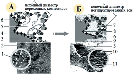Схема и общий вид начального (А) и конечного (Б) состояний взаимодействующей цементной системы