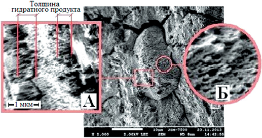 Общий вид и фрагменты поверхности цементного зерна водного твердения