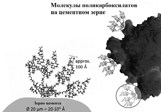 Адсорбция молекул  поликарбоксилата на цементном зерне