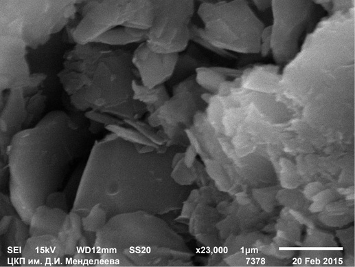 Электронная микрофотография поверхности сланца – торцевая поверхность