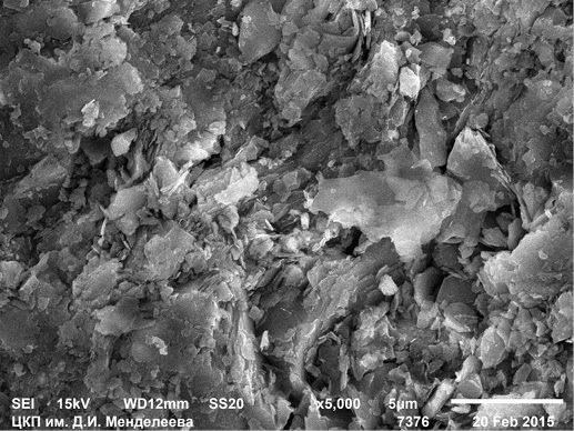 Электронная микрофотография поверхности сланца – торцевая поверхность