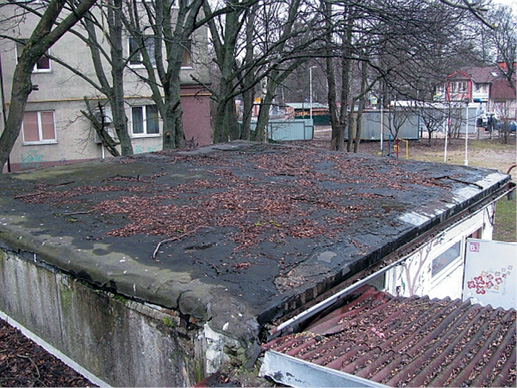Крышы двух подсобных помещений центра Калининграда