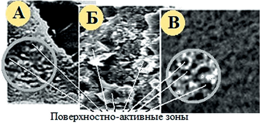 Фрагменты поверхности цементных зерен трехмесячного, 31-летнего и 105-летнего возрастов