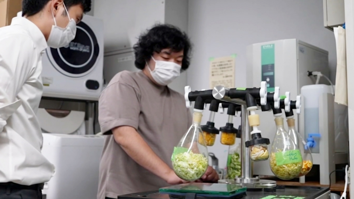 В Японии создали цемент из пищевых отходов