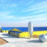 ПрофХолод строит в Казахстане